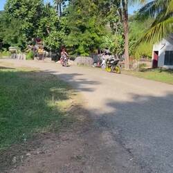 Bad boys on the motor