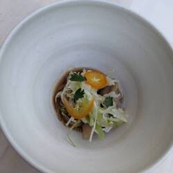 A duck gyoza with citrus