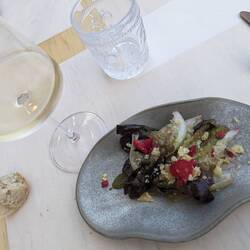 Salad w/ rasberry, local cheese, and fresh greens