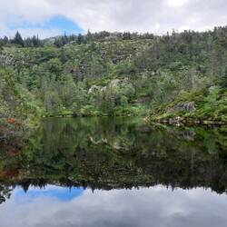 Coole reflectie / cool reflection