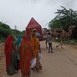 Zurück nach Pushkar