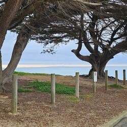 St Leonards - Photo by Phil