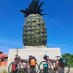 Vitamine als Wahrzeichen