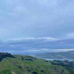 Dunedin ist in der Ferne zu erahnen