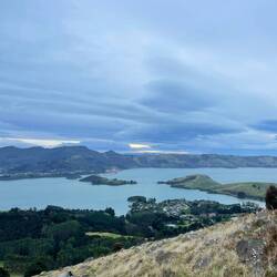 Im Vordergrund Portobello, im Hintergrund Port Chalmers