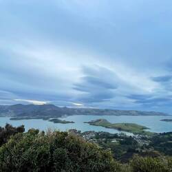Otago Harbour