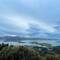 Otago Harbour