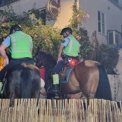 Dorfpolizei mit Pferden