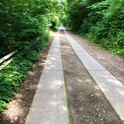 Folge dem Weg für 1,5km
