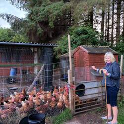 Margot and her crook and chooks