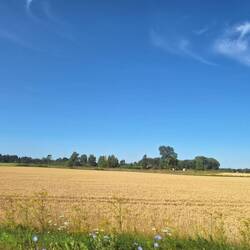 Ende Lettland, grosse Felder...