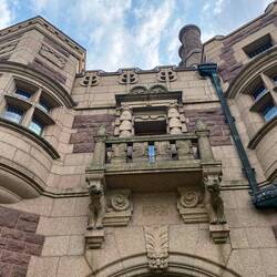 Ins landesinnere sind es Raubkatzen 🐯