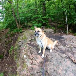 Leli modelt für die einzigen Menschen bis auf mich 😜