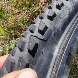 1.5cm gash in my rear Schwalbe Marathon tyre