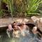 Ahhh thermal pools