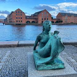 There are many parodies on famous Little Mermaid.