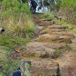Phil going up the stairs to Teddy's Lookout