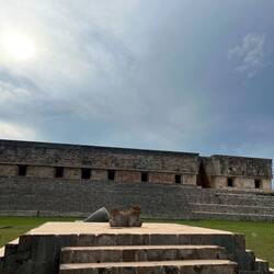 En 2 köpfige Jaguar