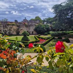 Château de Montreuil-Bellay