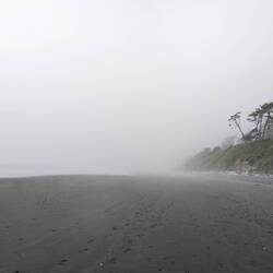 The fog gets you wet