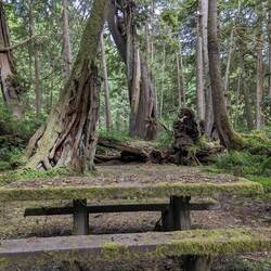 Old table in our campground