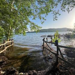 Ich bade ja fast überall, aber die suppe am ufer war mir zu wider