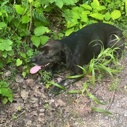 Den bin ich fast nicht mehr losgeworden