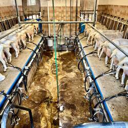 Jede kommt an die Reihe