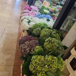 I love their floral area.