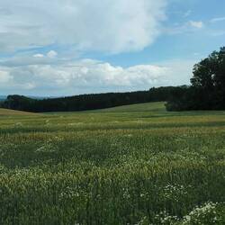 Ruhige Aussicht