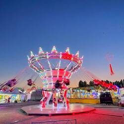 Beim Kettenkarussell den Schwanz fangen