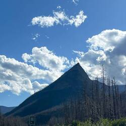 Waterton impressions