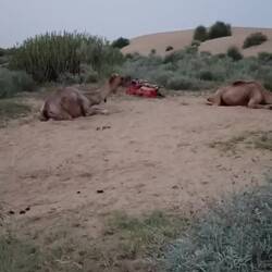 Stimmung nach dem Sonnenuntergang