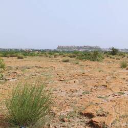 Von weitem sieht man die beeindruckende Silhouette Jaisalmers