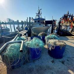 Hafen von Cortellazzo