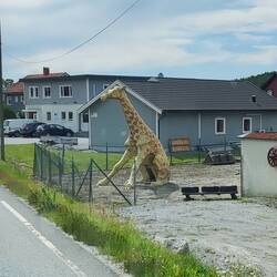 🤔❓🤔❓🤔❓