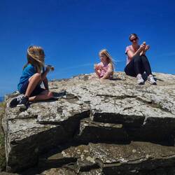 Bergziegenfütterung