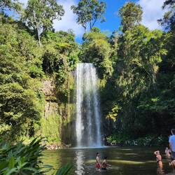 Millaa Millaa Falls