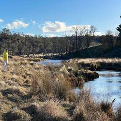 Spaziergänge ums Haus