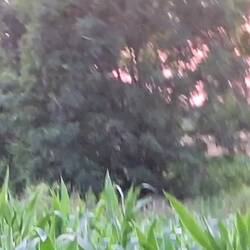 Von Heute in die schreckliche Vergangenheit geblickt