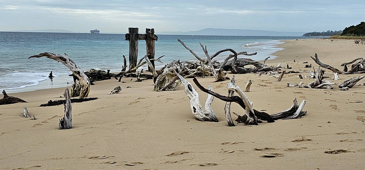 Historical Cattle Quarantine Jetty Photo captured by Phil on a Samsung S23 ultra