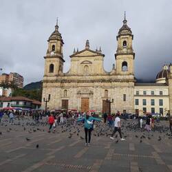 Plaza Bolivar, après le départ des fachos, le retour des pigeons.