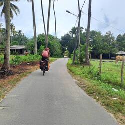 Immer weiter die Küste entlang