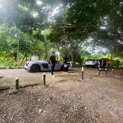 so feiern die Dominikaner den 15. Geburtstag