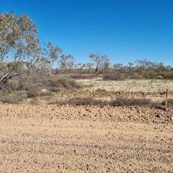Yep...we're in the desert