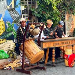 Strassenmusiker spielen auf der Marimba im Zentrum auf🪘🪇🪕