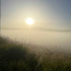 Morgens alles feucht, nur die kehle war trocken.