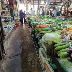 Lots of veggies