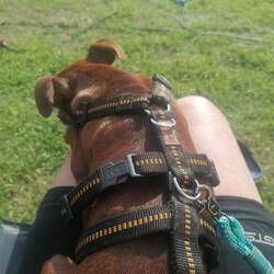 Mein neuer Freund 😁