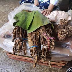 Tabac séché à mettre dans les feuilles roulées